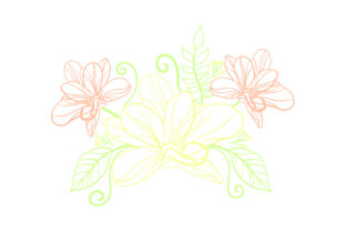 Download Flower Embellishment Outline - Light Colors - Premium Resources